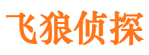 随县外遇出轨调查取证